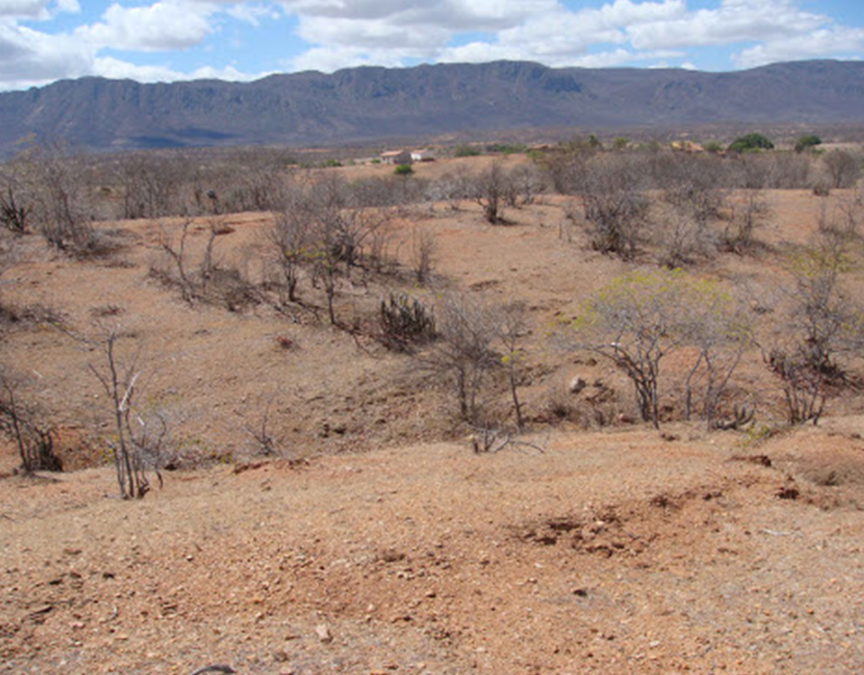 Qual a diferença entre estiagem, seca e desertificação?