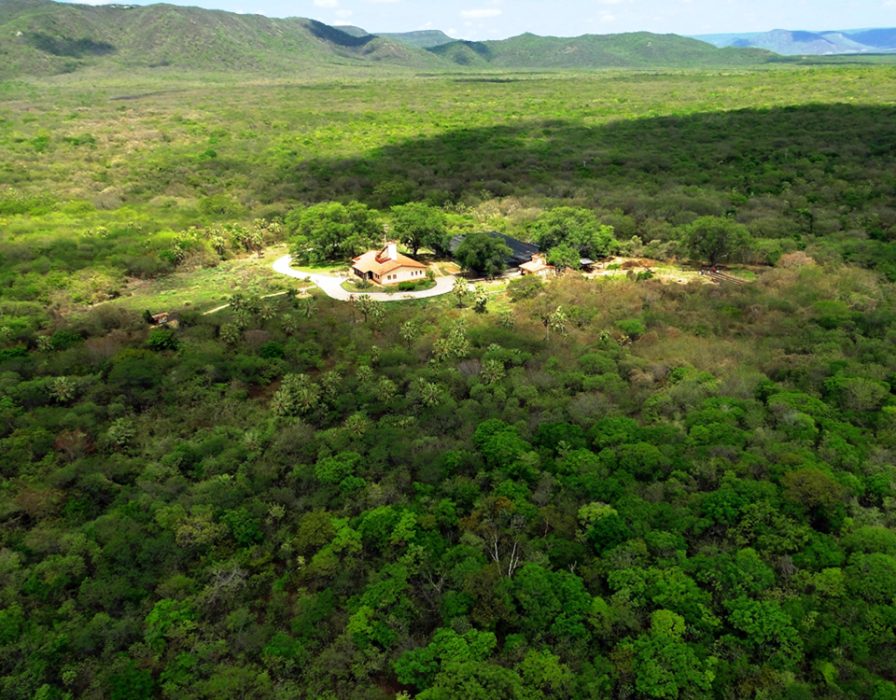 associacao-caatinga-objetivo-desenvolvimento-sustentavel-ods