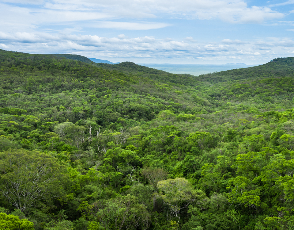 20 anos de Reserva Natural Serra das Almas, a maior RPPN do Ceará