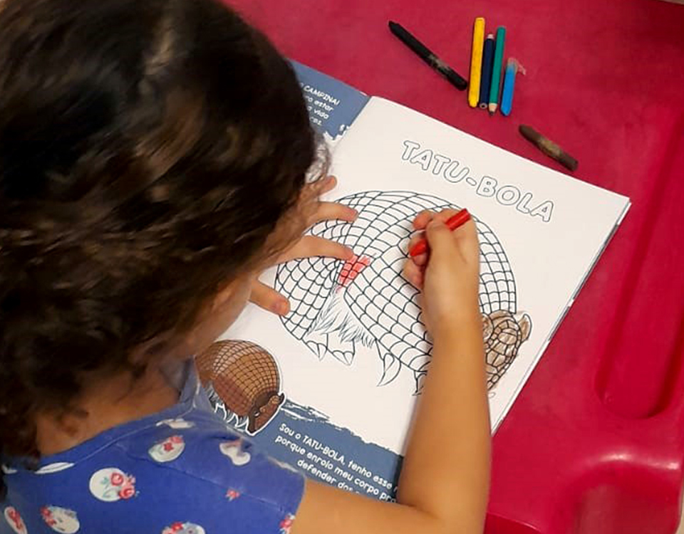 No Clima da Caatinga lança nova edição de livro didático voltado para o público infantil