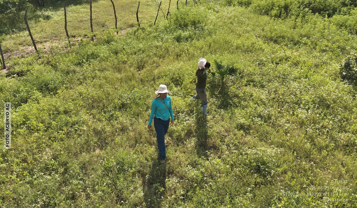 Equipe da Associação Caatinga percorre o Ceará para monitorar áreas restauradas