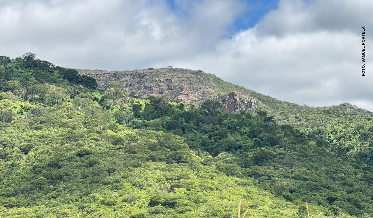 Associação Caatinga avança na criação e ampliação de unidades de conservação no Ceará