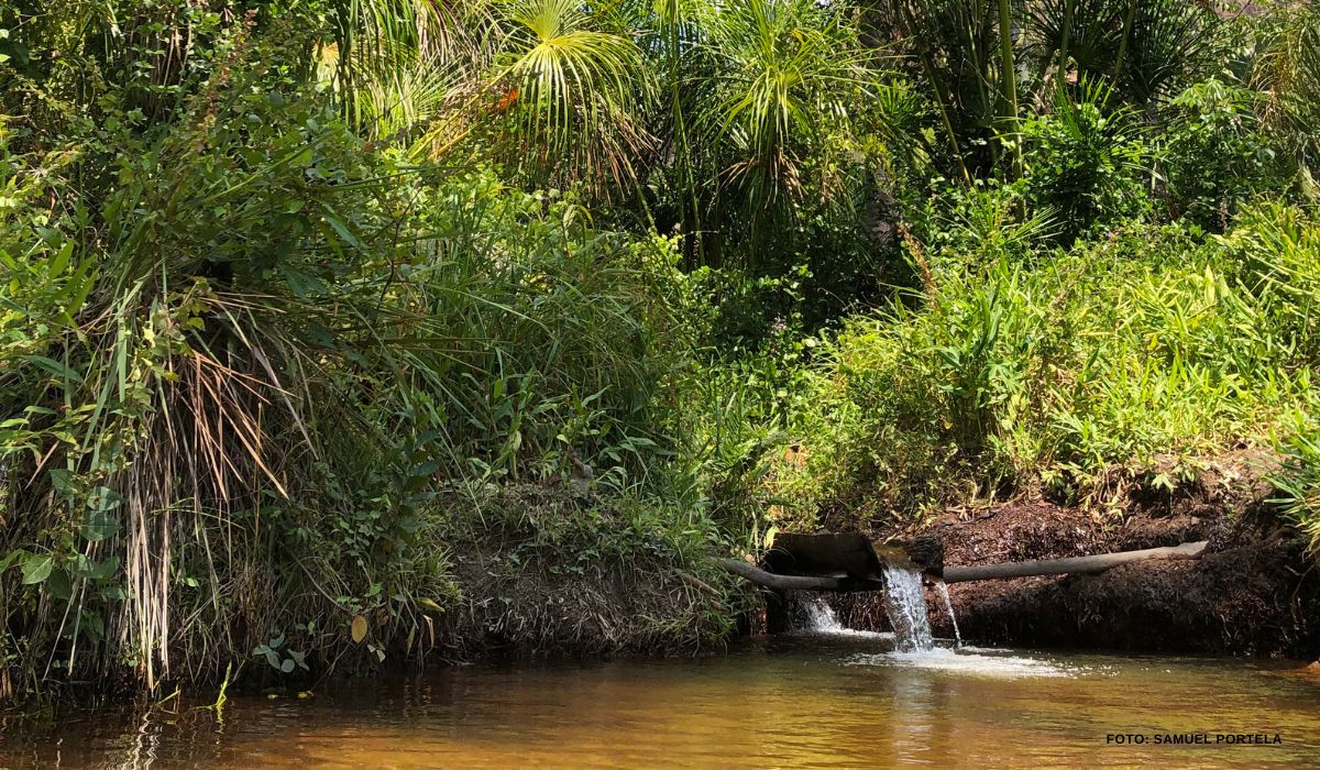 Associação Caatinga avança na criação e ampliação de seis unidades de conservação no Ceará