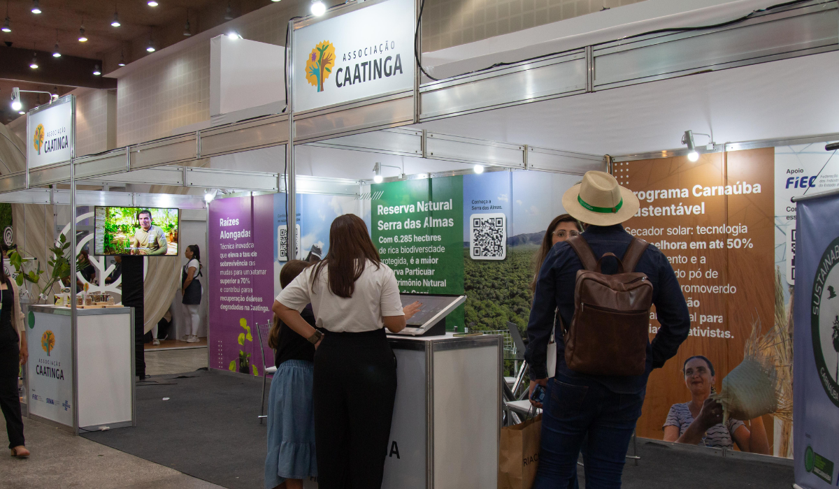 Associação Caatinga apresenta inovações para o semiárido na PEC Nordeste 2025
