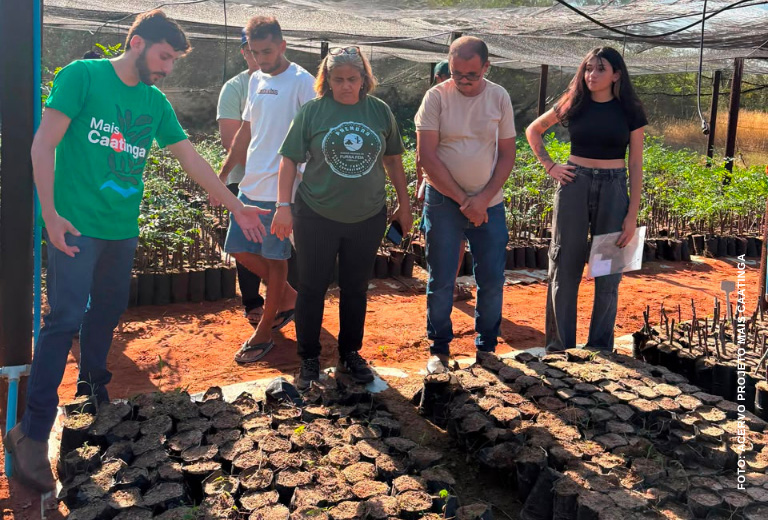 mais-caatinga-associacao-caatinga-curso-sementes-2 mais-caatinga-associacao-caatinga-curso-sementes-2