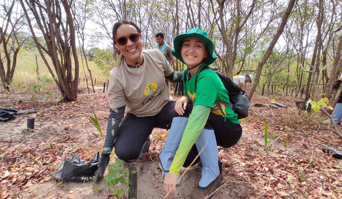Mulheres e meninas na ciência: conheça as pesquisadoras da Associação Caatinga