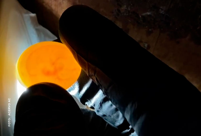 nascimento-cara-suja-serra-das-almas-associacao-caatinga-(3) nascimento-cara-suja-serra-das-almas-associacao-caatinga-(3)