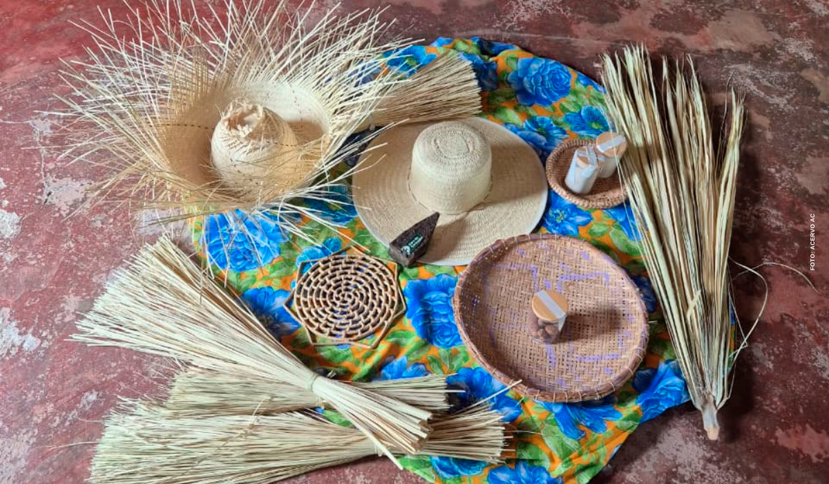 Projeto Carnaúba Sustentável promove valorização do trabalho das artesãs e diagnóstico da Safra de 2025