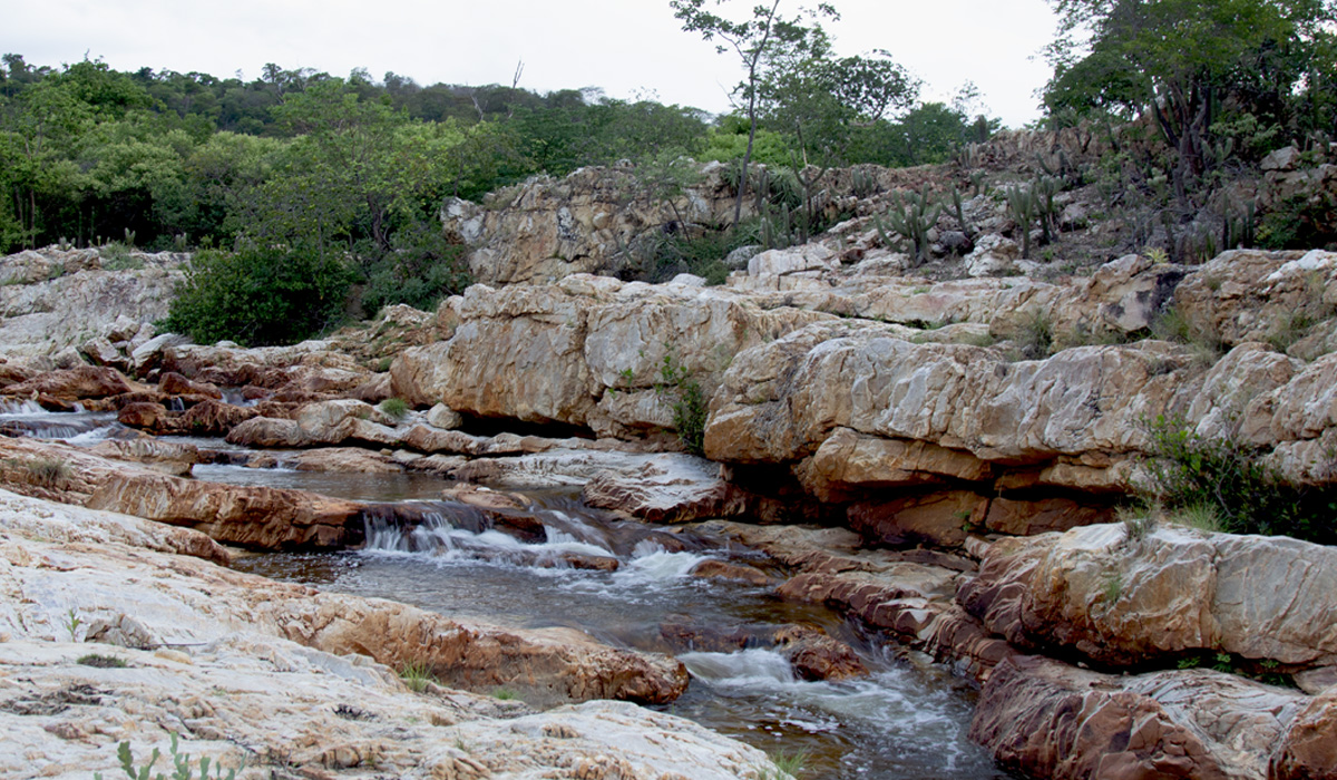 Associação Caatinga avança na elaboração do plano de visitação de unidade de conservação cearense
