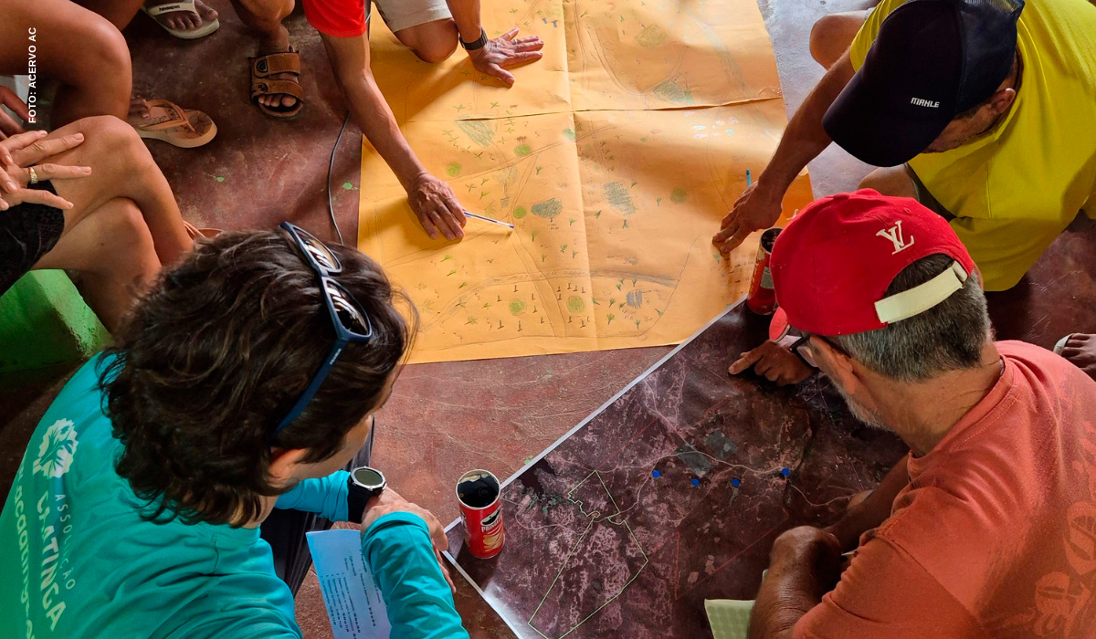 Projeto Carnaúba Sustentável impulsiona cadeia produtiva da carnaúba e mobiliza pequenos negócios rurais em Miraíma (CE)