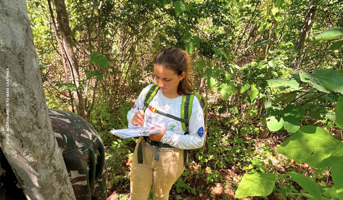 Projeto Mais Caatinga segue com atividades de restauração no Parque Nacional da Furna Feia