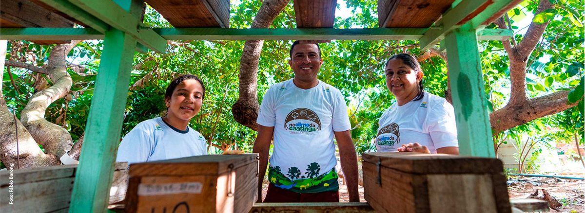 Projeto No Clima da Caatinga