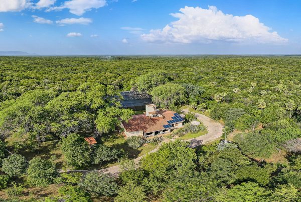 reserva-natural-serra-das-almas
