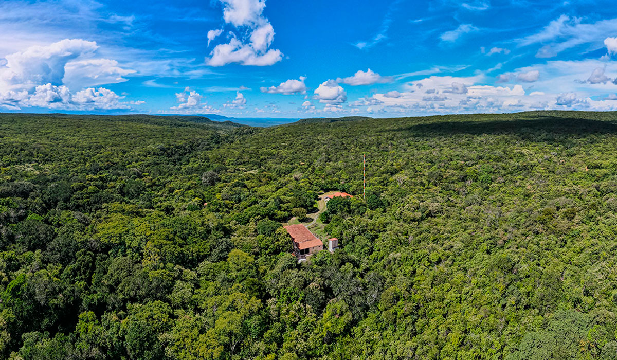 Na semana em que se comemora o Dia da Água, a Associação Caatinga revela um oásis de preservação