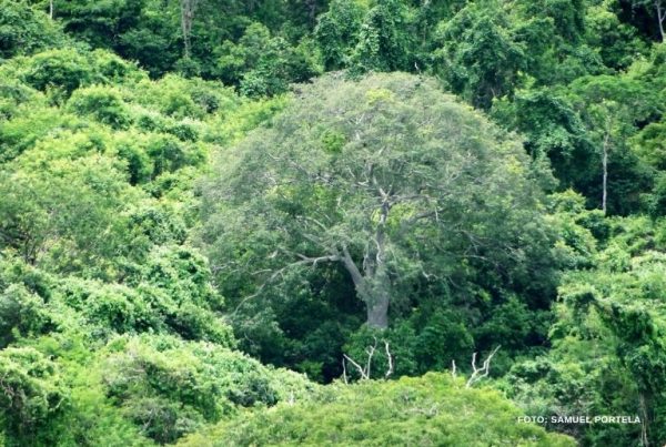 rppn-associao-caatinga (1)