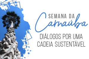 semana da-carnauba-associacao-caatinga
