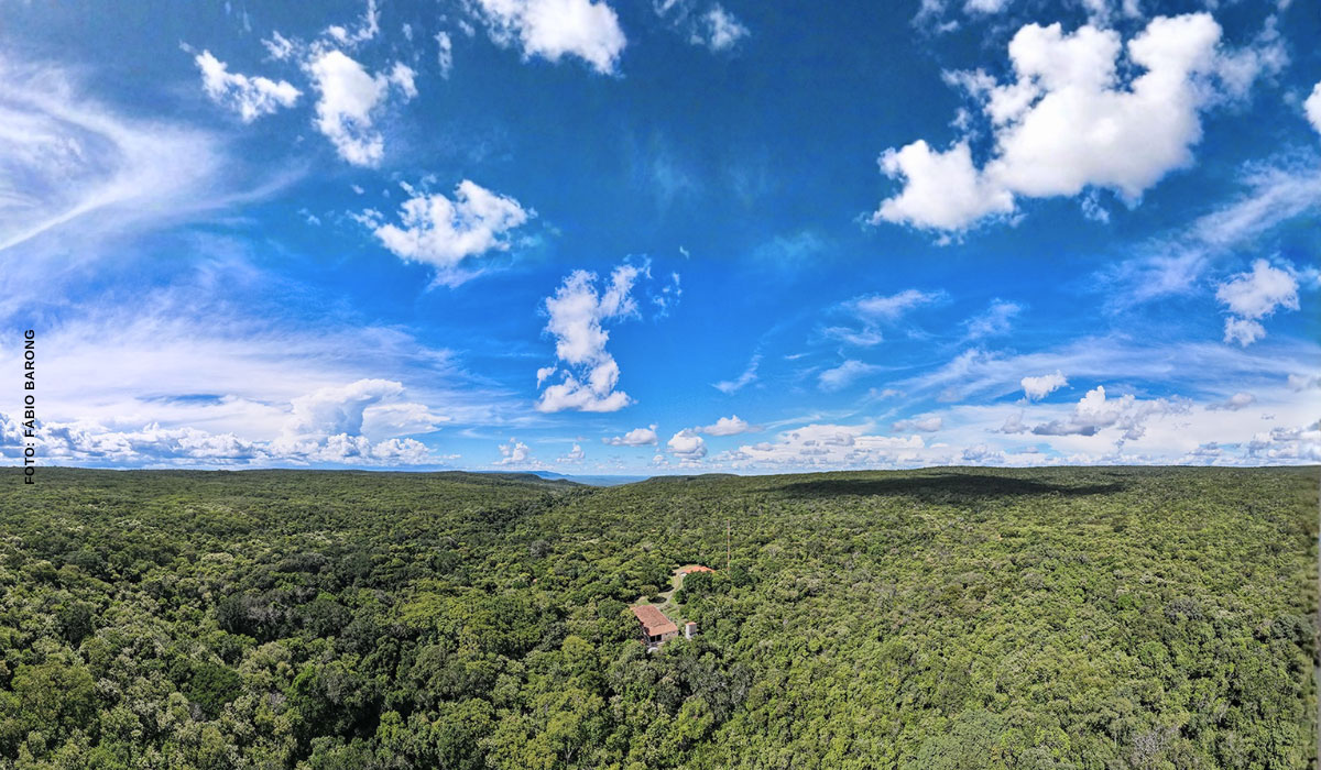 Caatinga se destaca como aliada no combate às mudanças climáticas