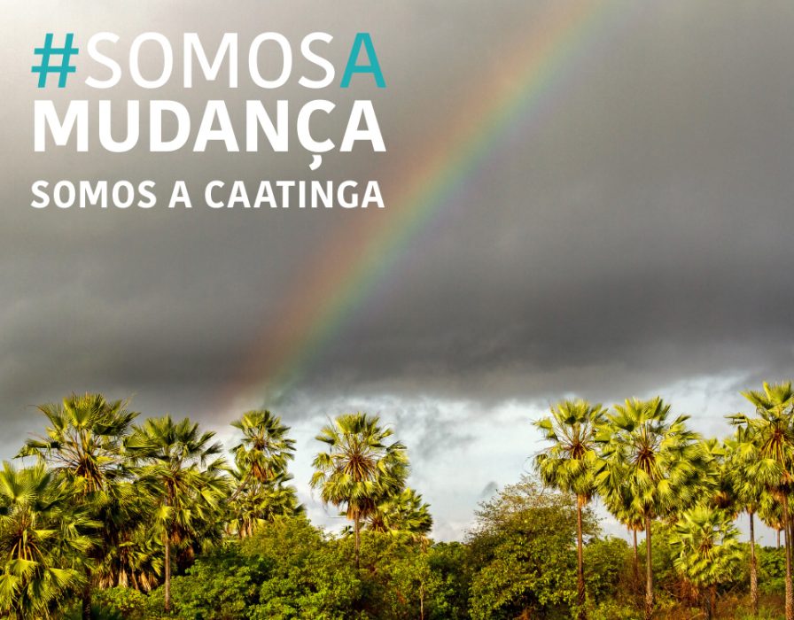 somos-a-mudanca_somos-a-caatinga_-destaque