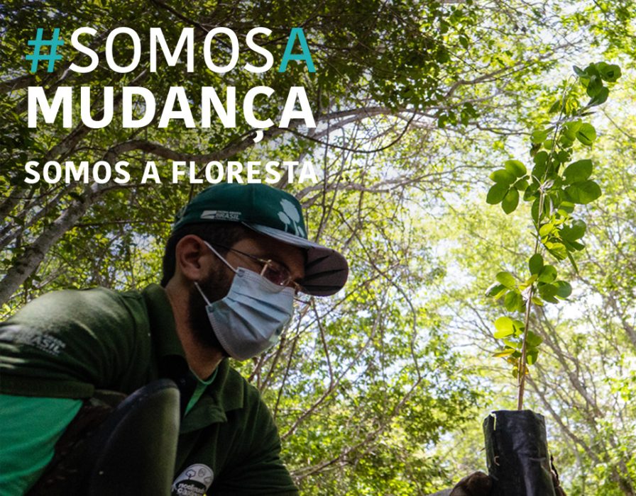 educaçao-ambiental-caatinga